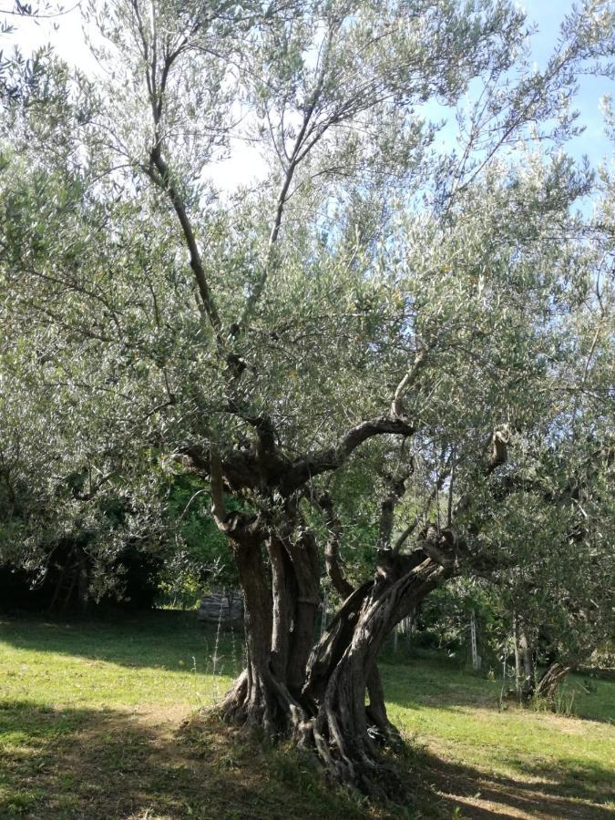 Vacanze In Collina, Tra Mare E Monti Bucchianico Екстериор снимка